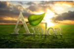 Avalon-Estate-logo-e1561079369653